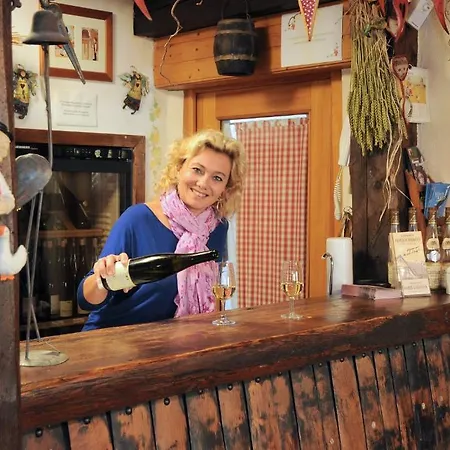 Дом отдыха Gite Fahrer-ackermann